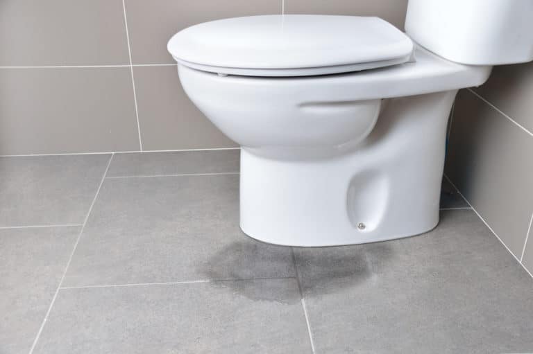 Leaking toilet