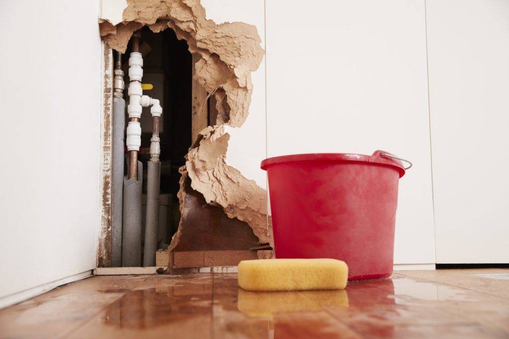 Rising damp caused by blocked drains and resulting wall damage