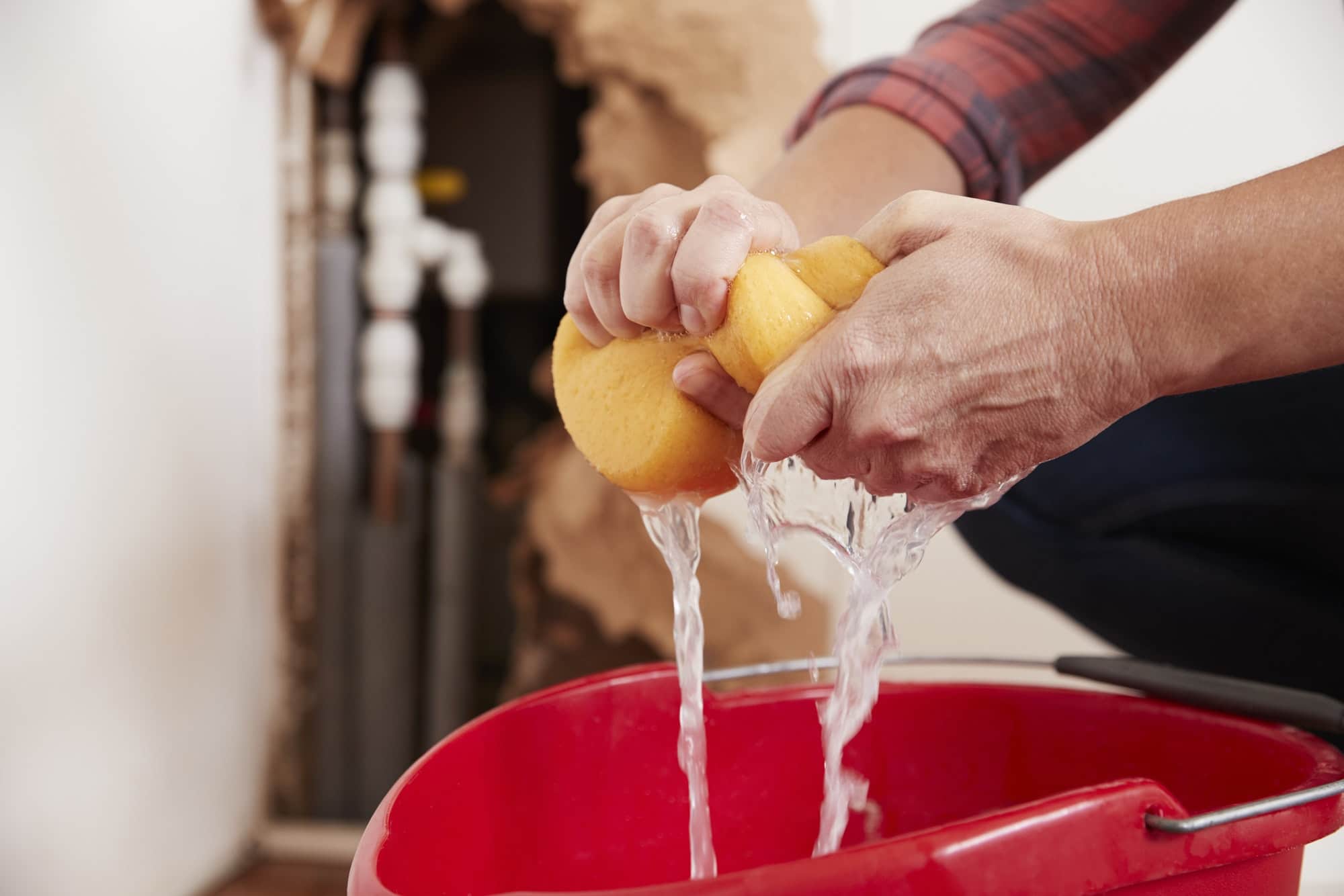 Woman wringing water out of a sponge into a bucket, detail